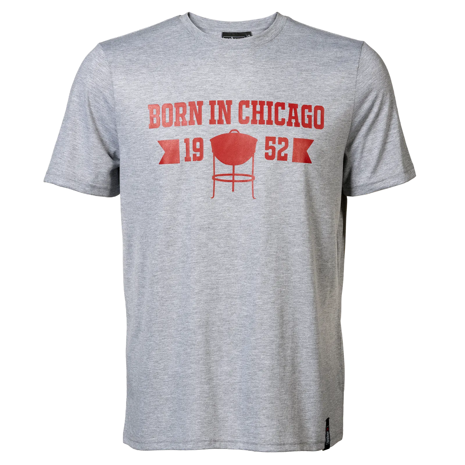Born in Chicago T-Shirt Men Grey XXL